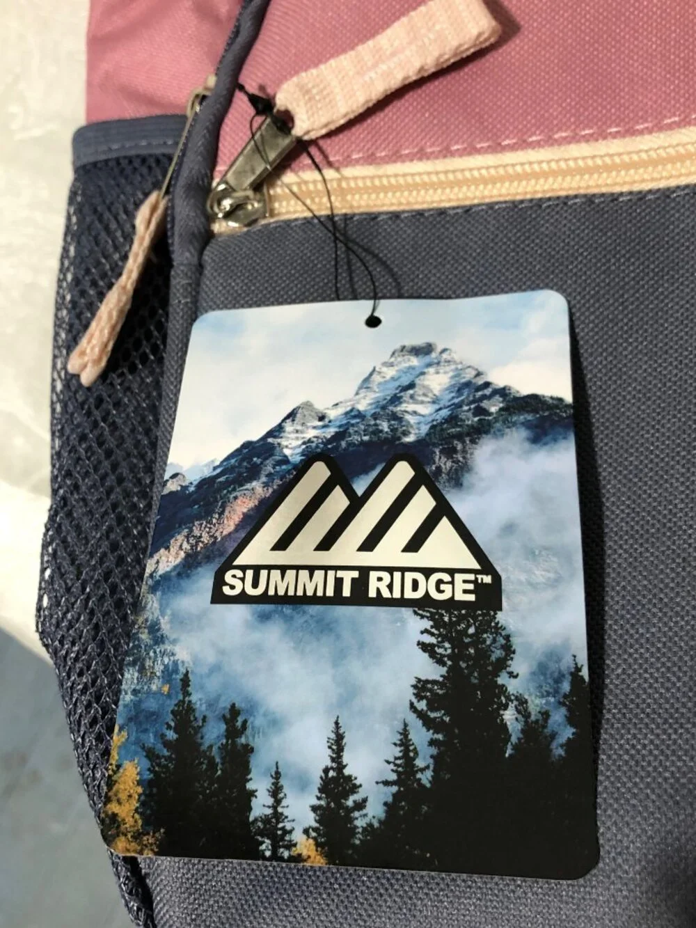 NWT Summit Ridge Lightweight School Travel Backpack Pink/Blue